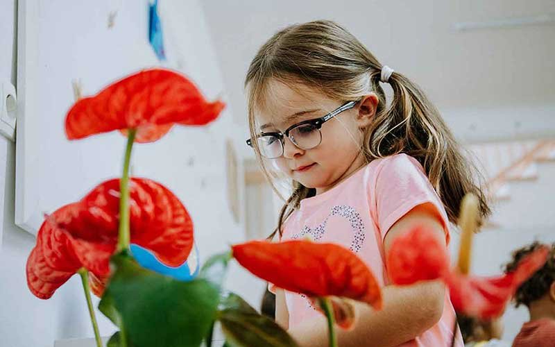 Nxenese e moshes 2-3 vjec me syze, e koncentruar ne aktivitet me paravije lule te kuqe hibiskus